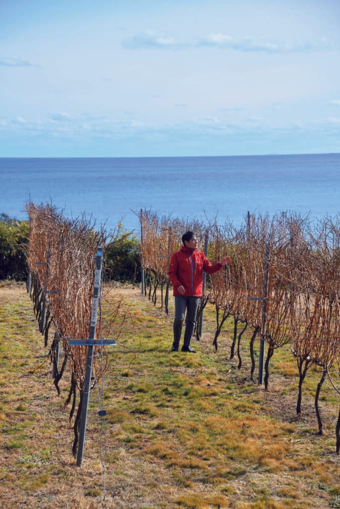 代表講演(1時間)